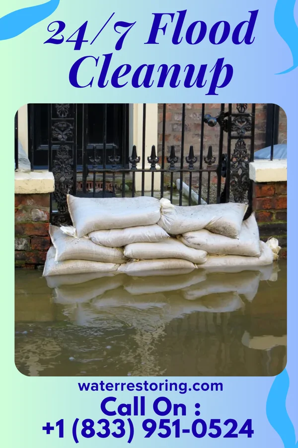 24/7 Flood Cleanup in Rockdale, IL