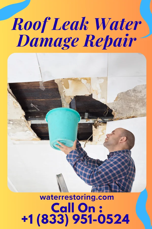 Roof Leak Water Damage Repair in Rockdale, IL