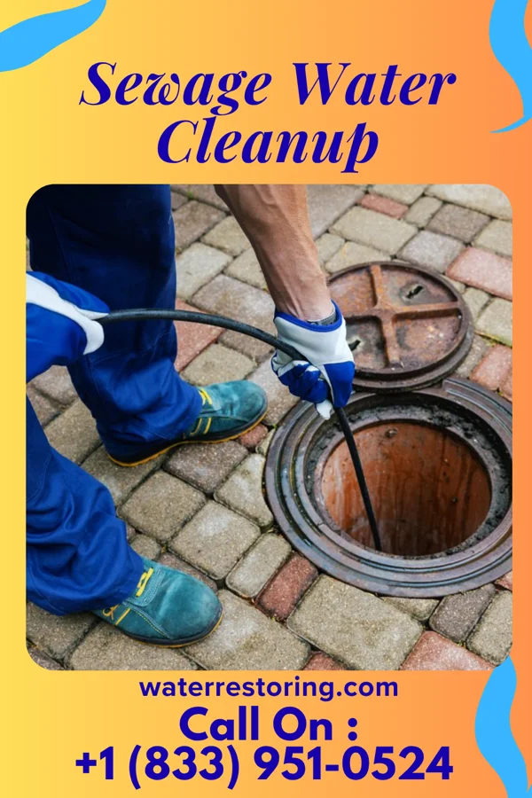 Sewage Water Cleanup in Rockdale, IL